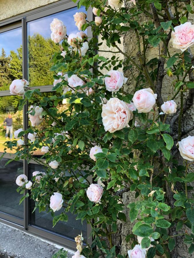 Bed and Breakfast Lulu En Provence LʼIsle-sur-la-Sorgue Exterior foto